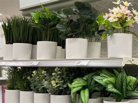 The above item details were provided by the Target Plus Partner. . Target artificial plant